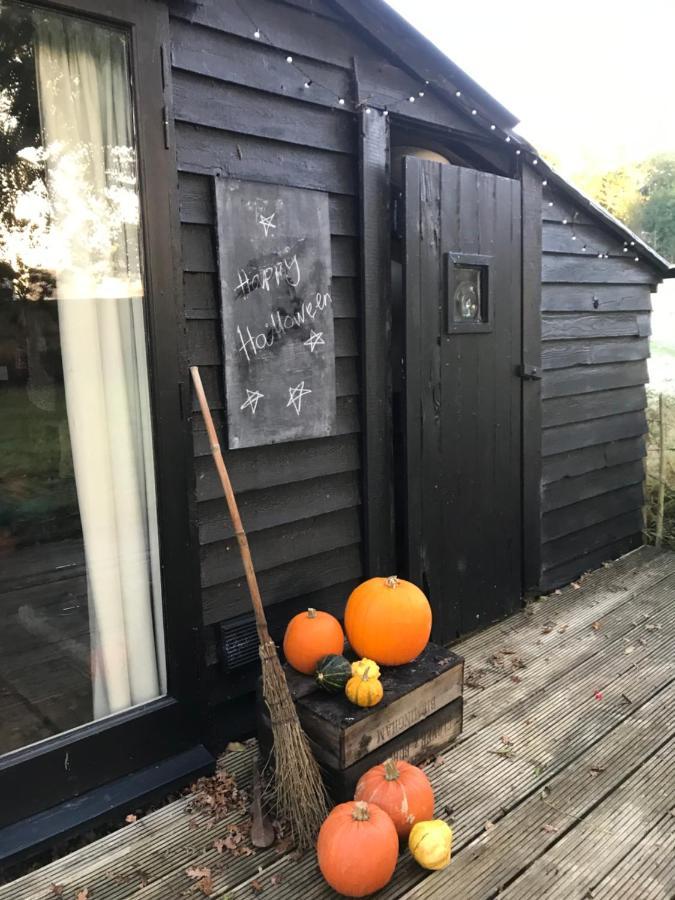 The Old Apple Shed Cosy Heated In A Meadow Close To The Charming Village Of Bethersden Chalet